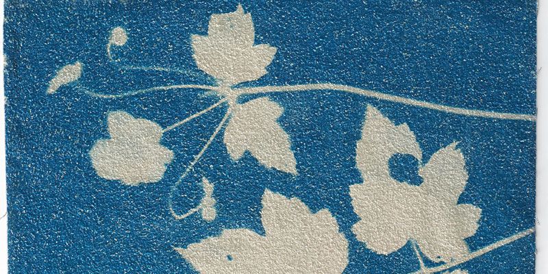 Cyanotype Fabric Fun: 5 Tips for Successful Prints