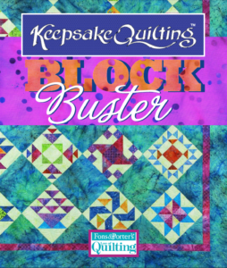 100 Free Quilt Blocks Cover Image