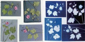 Cyanotype Fabric Fun: 5 Tips for Successful Prints