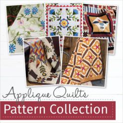 Appliqué Quilts that Delight and Inspire | Quilting Daily