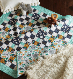 Baby Quilts Archives Quilting Daily