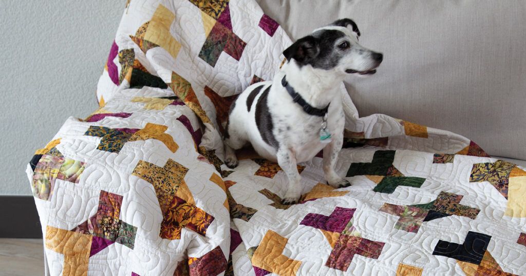 dog-quilts-days-of-summer-quilting-daily